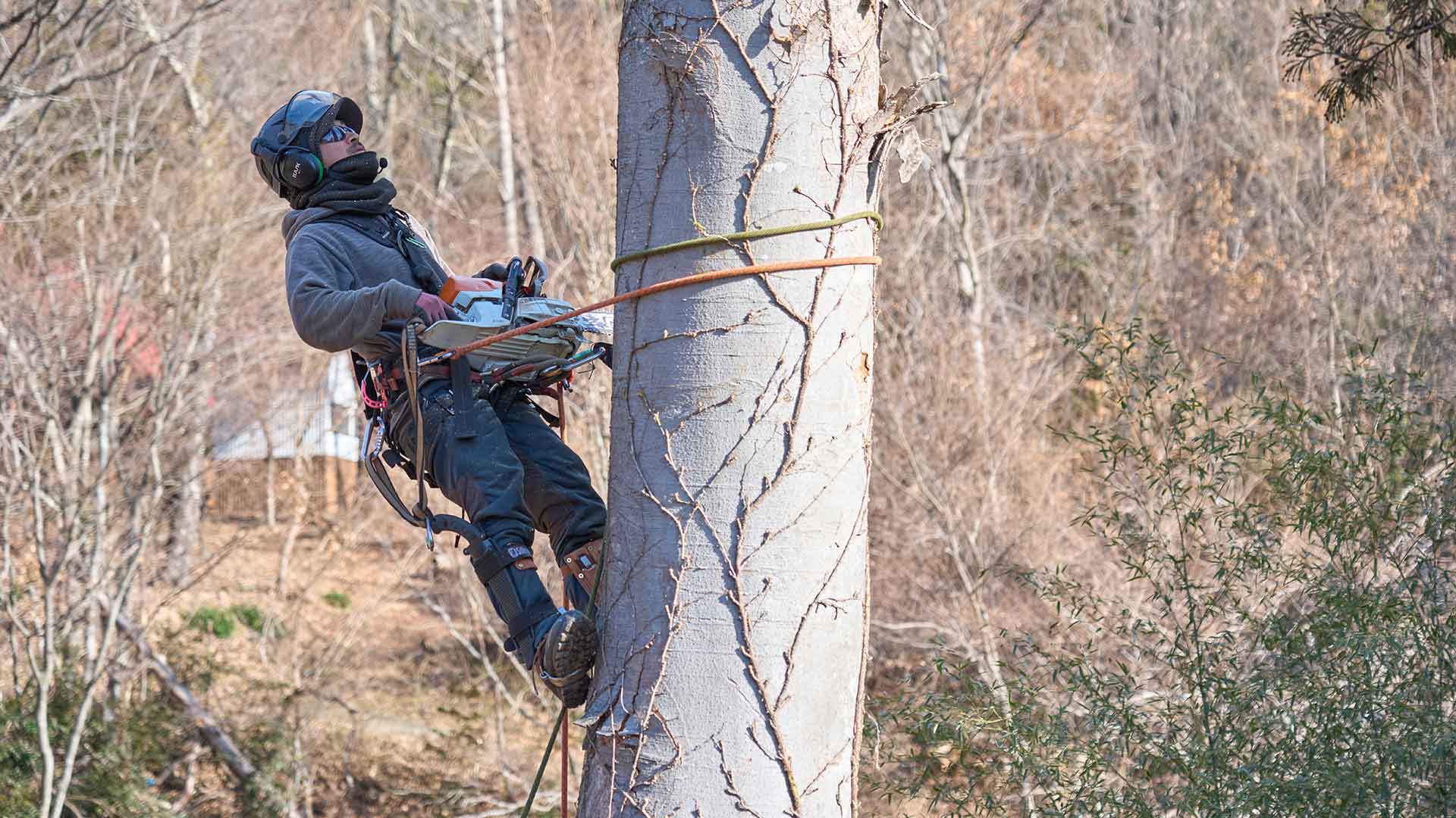 切る、活かす、届ける。大切な木に、丁寧な仕事を。