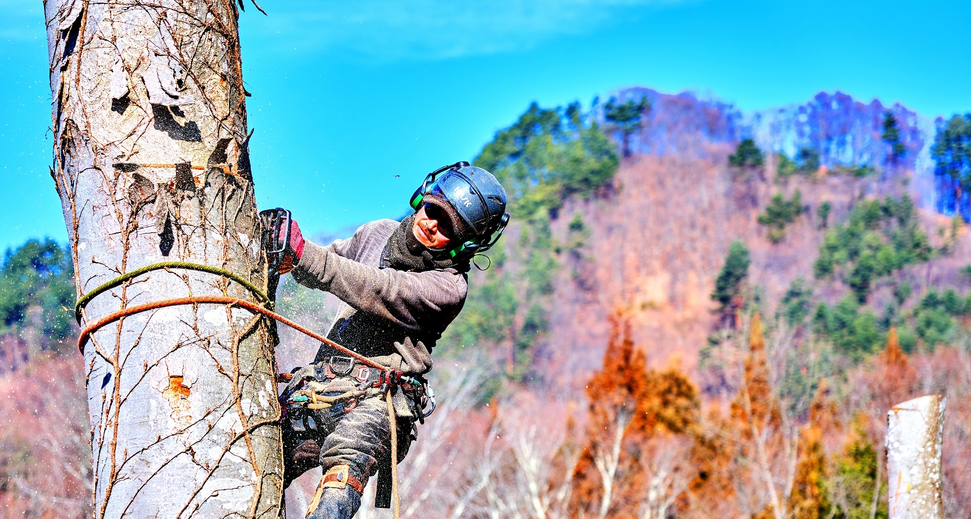森林整備について