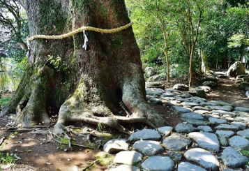 株式会社荒井木材